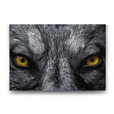 Tabloshop Kurt Gözleri 75x50 cm Tablo