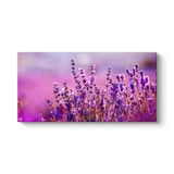 tabloshop Lavanta Çiçekleri Kanvas Tablo 160 x 80