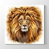Tabloshop Leon 40x40cm Tablo