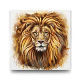 Tabloshop Leon 50x50cm Tablo