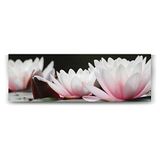 Tabloshop Lotus Panorama 120x40 cm Tablo