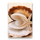 Tabloshop Midye ve İnci 40x60 cm Tablo