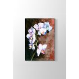 Tabloshop Orkide 40x60 cm Yağlıboya Tablo