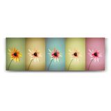 tabloshop Papatyalar Pop Art Panorama Tablo - 180x60cm