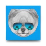 Tabloshop Pomeranian Boo 100x100 cm Tablo
