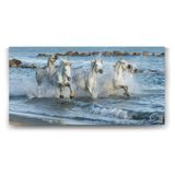 Tabloshop Sahilde Koşan Atlar 140x70 cm Tablo