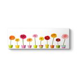 tabloshop Saksı Çiçekleri Panorama Tablo 90 x 30