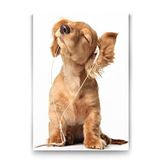 Tabloshop Sevimli Köpek 70x100 cm Tablo