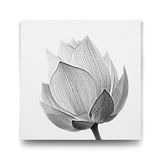 Tabloshop Siyah Beyaz Çiçek 40x40 cm Tablo