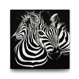 Tabloshop Siyah Beyaz Zebra 100x100 cm Tablo