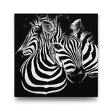 Tabloshop Siyah Beyaz Zebra 90x90 cm Tablo