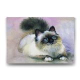Tabloshop Sulu Boya Kedi 125x80 cm Tablo