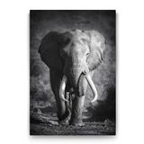 Tabloshop Yaşlı Fil 80x125 cm Tablo