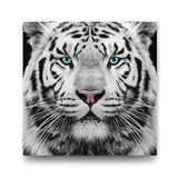 Tabloshop Yeşil Gözlü Beyaz Kaplan 100x100 cm Tablo