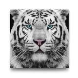 Tabloshop Yeşil Gözlü Beyaz Kaplan 70x70 cm Tablo