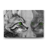 Tabloshop Yeşil Gözlü Kedi 140x100 cm Tablo