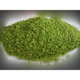 Tadacaksin Antep Fıstığı Boz Iç Çekilmiş 250 gr