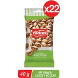 Tadım Antep Fıstığı 40 gr x 22'li - 880 gr