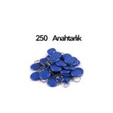 Tag Manyetik Anahtarlık - 250 Adet Proximity Anahtarlık