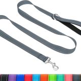 Taglory Yansıtıcı Köpek Eğitimi Kurşun, Neopren Dolgulu Sap ve Metal Kanca, 1,8 m x 2,0 cm Naylon Tasma Küçük Köpekler için, Gri