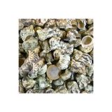 Tahtakale Toptancıları Bruneus Kiloluk Deniz Kabuğu (1 KG)