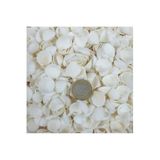 Tahtakale Toptancıları Clam Rose Cochles- Küçük Kiloluk Deniz Kabuğu (1 KG)
