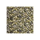 Tahtakale Toptancıları Mini Mongo Shell Kiloluk Deniz Kabuğu (1 KG)