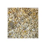 Tahtakale Toptancıları Nassa Shell Kiloluk Deniz Kabuğu 250 Gr, TYC6E07D8870611D810FA4900