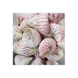 Tahtakale Toptancıları Troca Strawberry Kiloluk Deniz Kabuğu (1 KG)