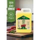 Tahtakapı Işkın Kökü Elma Sirkesi 5 L – Doğal Fermente – Katkısız – Vegan - 5 lt