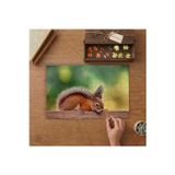 Tahtanın Üstünde Sincap Tasarımı 240 Parça Ahşap Puzzle Ahşap Kutuda MPY40116
