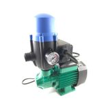 Taifu 1 Hp Su Motoru Su Dinamosu + Hidromat Su Pompası
