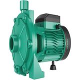 Taifu 2TCP25/160B 2 Hp Çift Fanlı Santrifüj Pompa