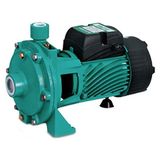 Taifu Çift Kademeli Santrifüj Pompa - TAIFU2TCP25/140M (1.5 Hp)