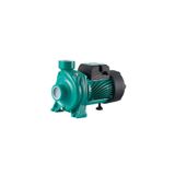 Taifu Tek Kademeli Salyangoz Tonajlı Santrifüj Pompa - Thf6b-1 (2 HP)