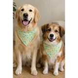 Tail Story Kedi-Köpek Fuları, Hafif Kumaş, El Yapımı, Neşeli Çiçekler Kedi/Köpek Fuları