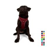 Tailpetz Air-Mesh Küçük ve Orta Irk Kedi Köpek Göğüs Tasması - Yumuşak, Nefes Alabilir, Dayanıklı (Bordo, M)