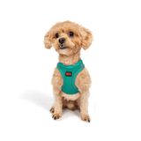 Tailpetz Air-Mesh Küçük ve Orta Irk Kedi Köpek Göğüs Tasması - Yumuşak, Nefes Alabilir, Dayanıklı (Emerald, 2XS)