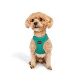 Tailpetz Air-Mesh Küçük ve Orta Irk Kedi Köpek Göğüs Tasması - Yumuşak, Nefes Alabilir, Dayanıklı (Emerald, 3XS)
