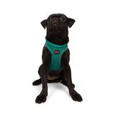Tailpetz Air-Mesh Küçük ve Orta Irk Kedi Köpek Göğüs Tasması - Yumuşak, Nefes Alabilir, Dayanıklı (Emerald, Medium)