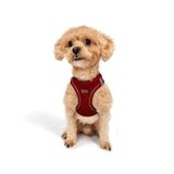 Tailpetz Air-Mesh Küçük ve Orta Irk Kedi Köpek Göğüs Tasması - Yumuşak, Nefes Alabilir, Dayanıklı (Kırmızı, 2XS)