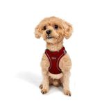 Tailpetz Air-Mesh Küçük ve Orta Irk Kedi Köpek Göğüs Tasması - Yumuşak, Nefes Alabilir, Dayanıklı (Kırmızı, 3XS)