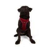 Tailpetz Air-Mesh Küçük ve Orta Irk Kedi Köpek Göğüs Tasması - Yumuşak, Nefes Alabilir, Dayanıklı (Kırmızı, Medium)