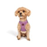 Tailpetz Air-Mesh Küçük ve Orta Irk Kedi Köpek Göğüs Tasması - Yumuşak, Nefes Alabilir, Dayanıklı (Lila, 2XS)