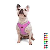Tailpetz Air-Mesh Küçük ve Orta Irk Kedi Köpek Göğüs Tasması - Yumuşak, Nefes Alabilir, Dayanıklı (Lila, L)
