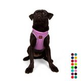 Tailpetz Air-Mesh Küçük ve Orta Irk Kedi Köpek Göğüs Tasması - Yumuşak, Nefes Alabilir, Dayanıklı (Lila, M)