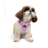 Tailpetz Air-Mesh Küçük ve Orta Irk Kedi Köpek Göğüs Tasması - Yumuşak, Nefes Alabilir, Dayanıklı (Lila, S)