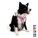 Tailpetz Air-Mesh Küçük ve Orta Irk Kedi Köpek Göğüs Tasması - Yumuşak, Nefes Alabilir, Dayanıklı (Lila, XL)