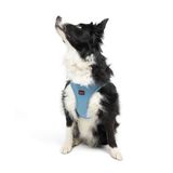 Tailpetz Air-Mesh Küçük ve Orta Irk Kedi Köpek Göğüs Tasması - Yumuşak, Nefes Alabilir, Dayanıklı (Mavi, XLarge)
