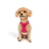Tailpetz Air-Mesh Küçük ve Orta Irk Kedi Köpek Göğüs Tasması - Yumuşak, Nefes Alabilir, Dayanıklı (Neon-Pembe, 2XS)